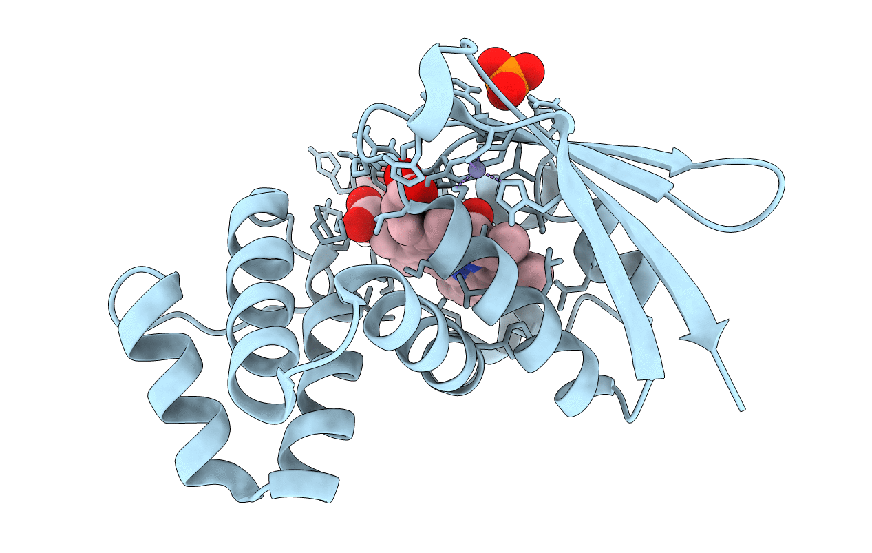4U9B image