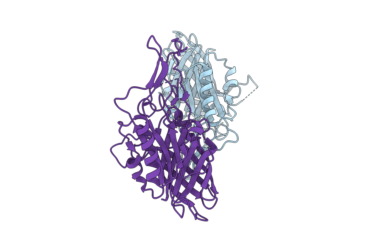 4U9C image