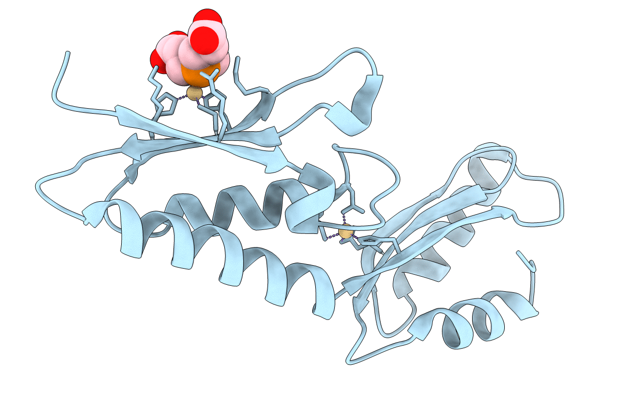 4U9R image