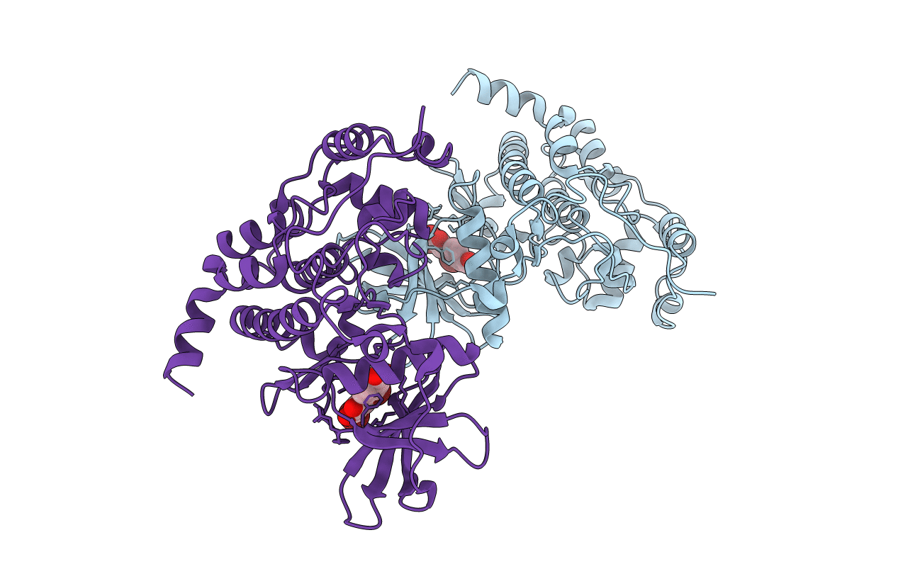 4UBA image