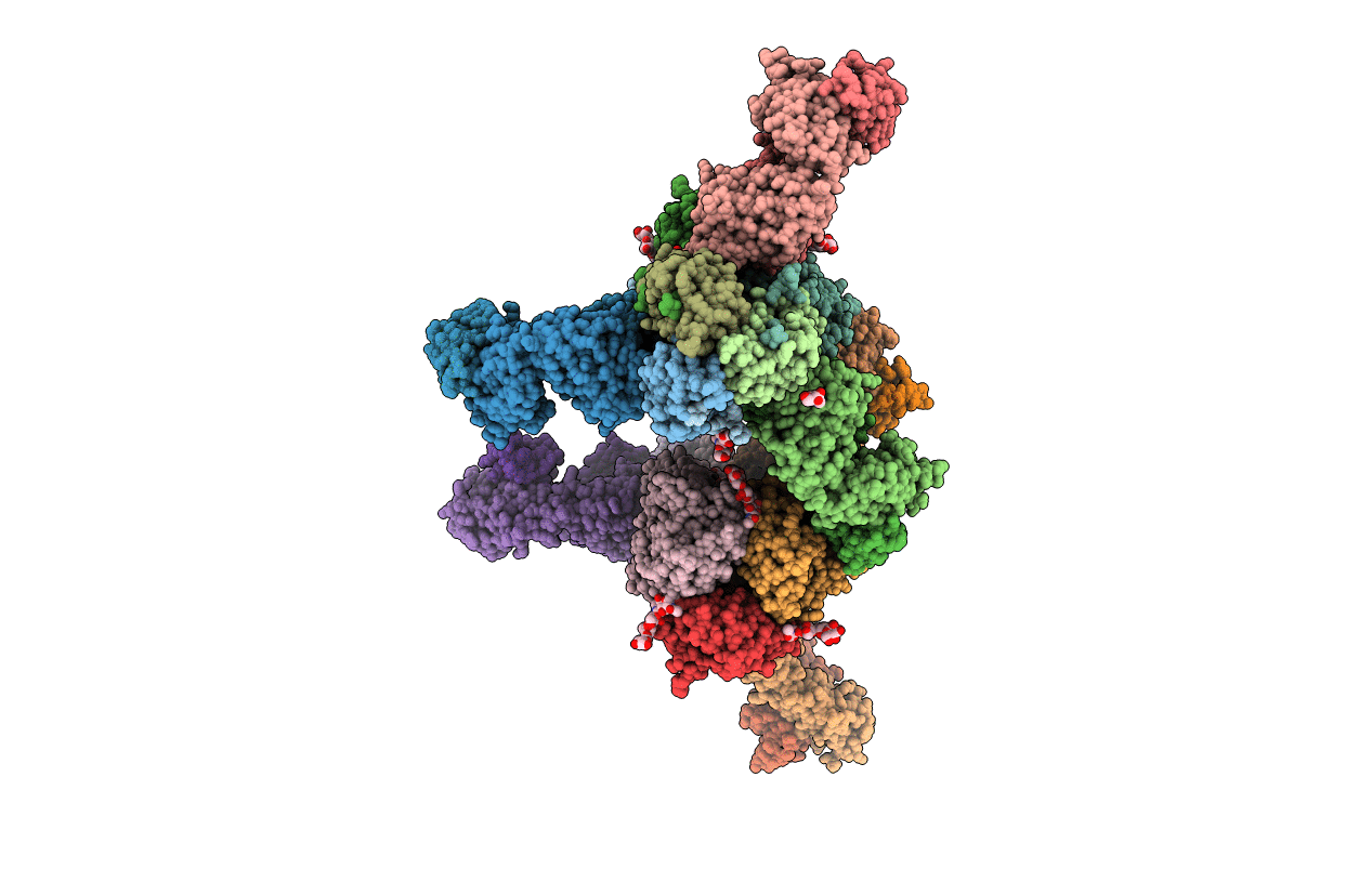 4UBD image