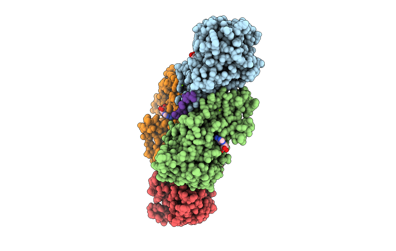 4UBF image