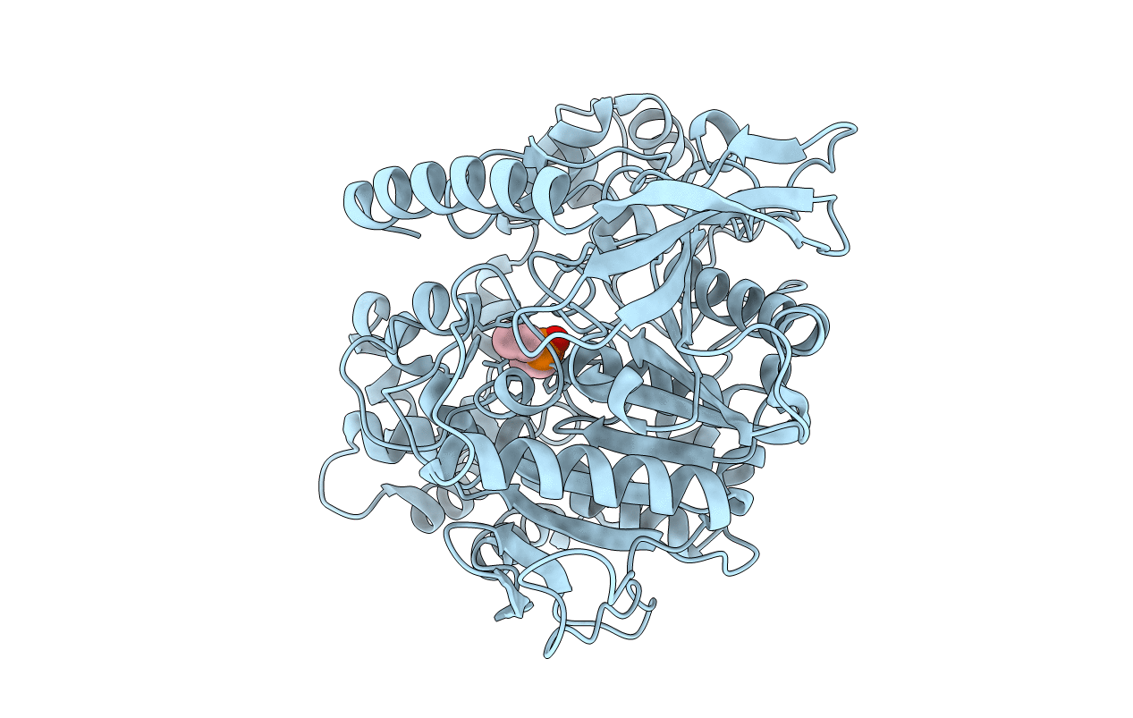 4UBM image