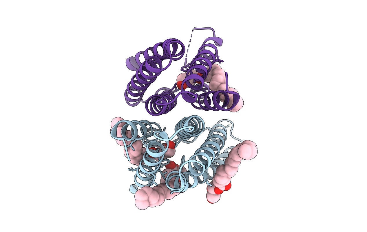 4UC3 image