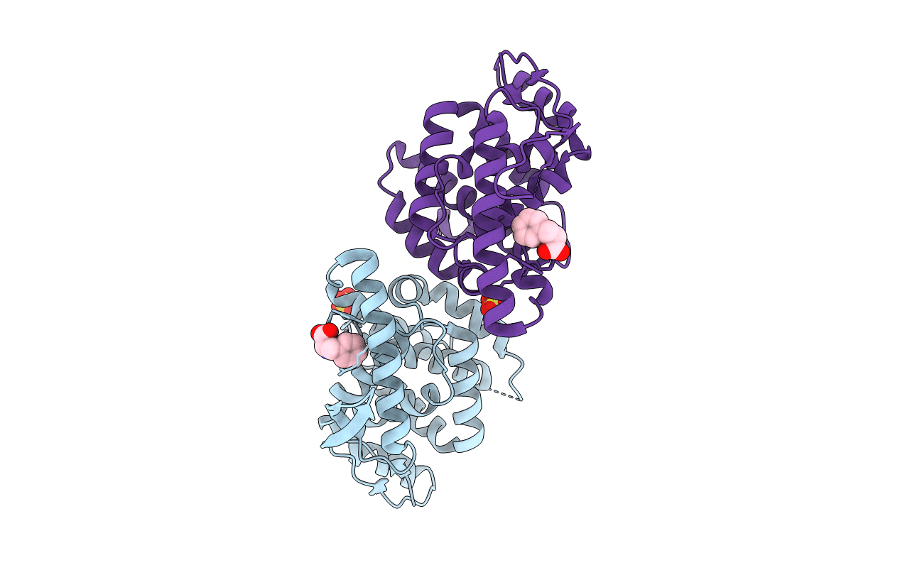 4UCB image