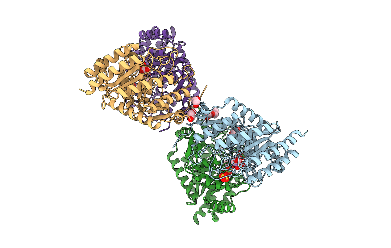 4UCG image
