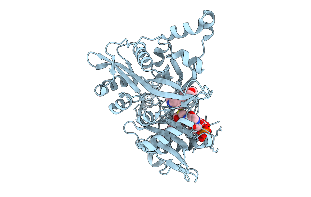 4UCP image