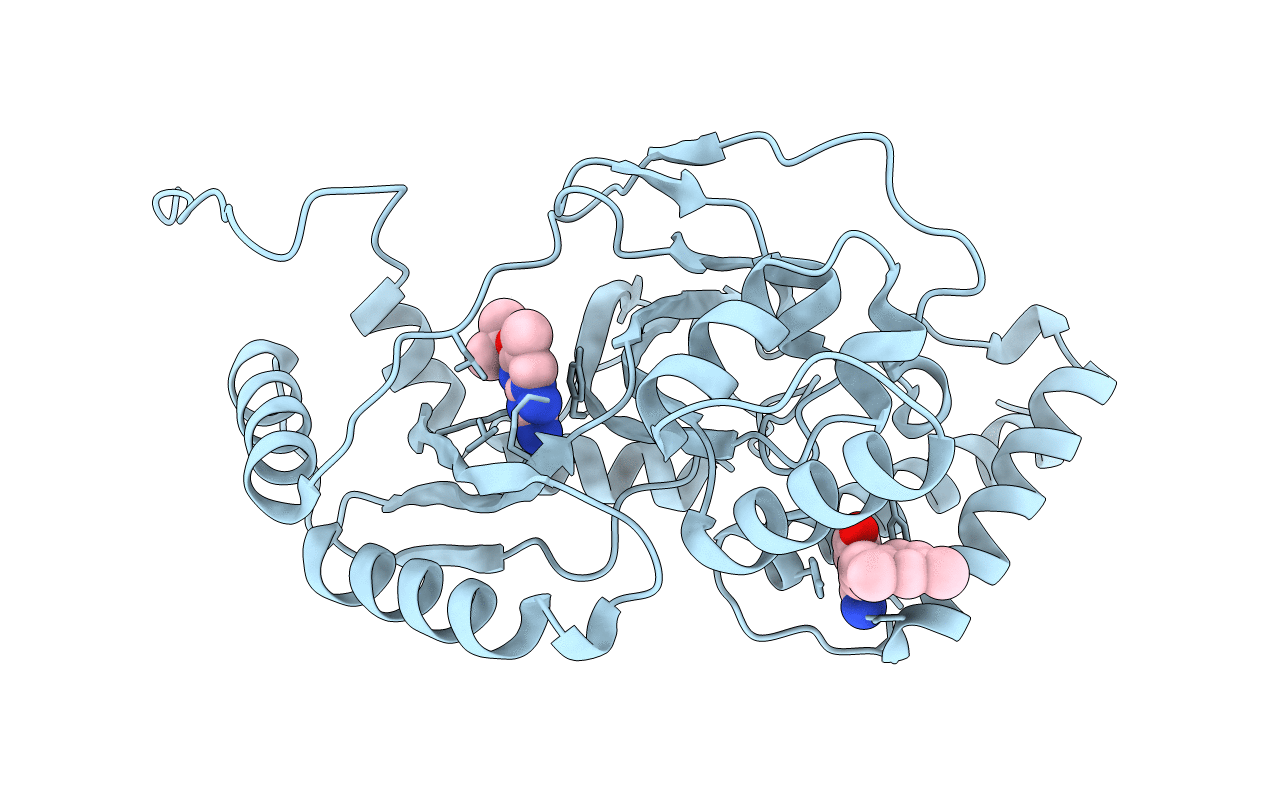 4UCT image