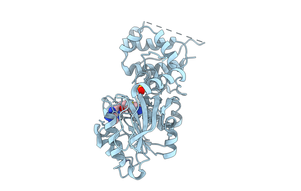 4UD0 image