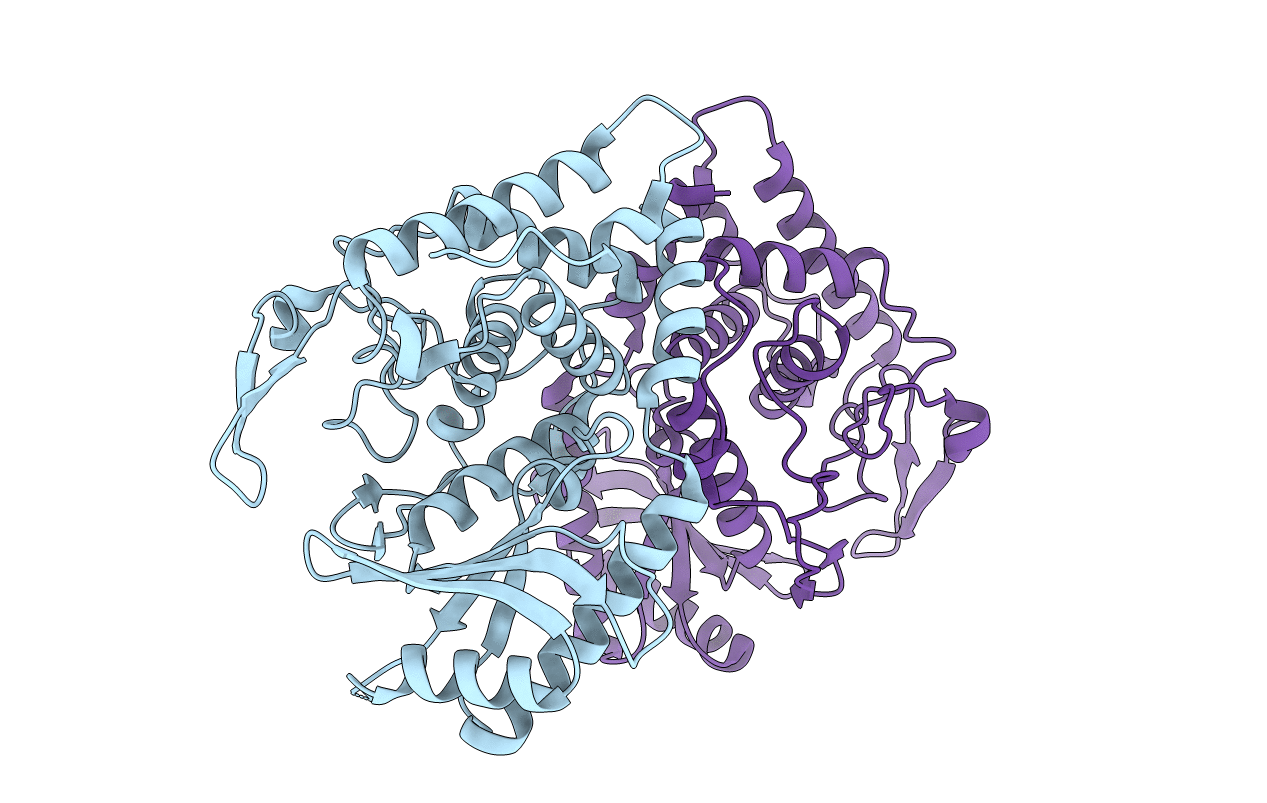 4UD5 image
