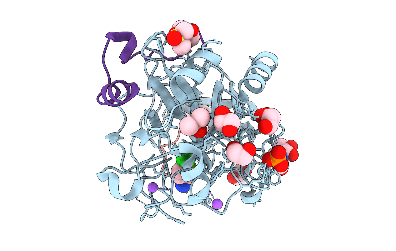 4UD9 image