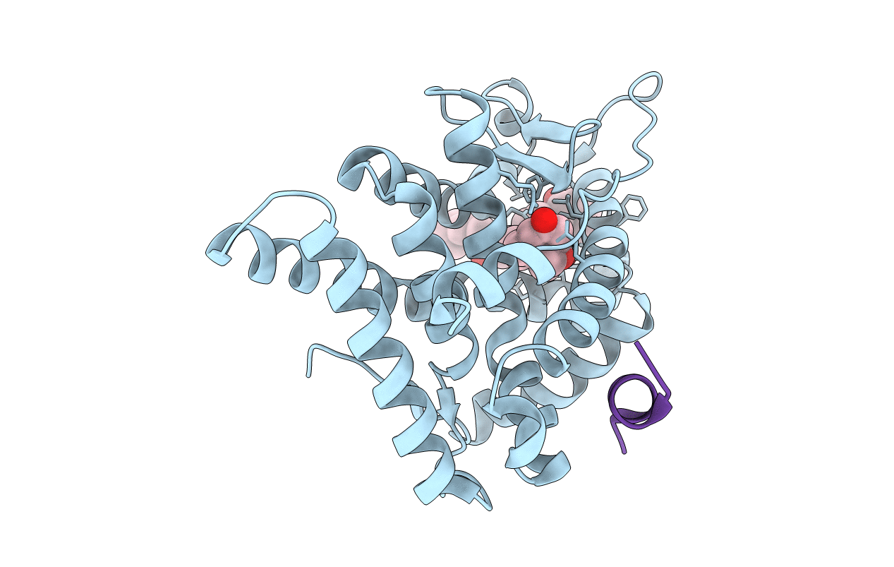 4UDC image