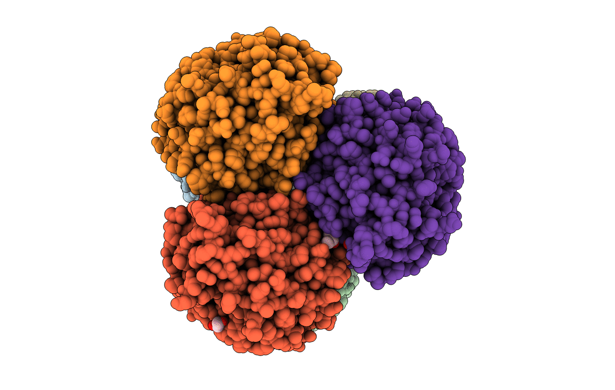 4UDI image