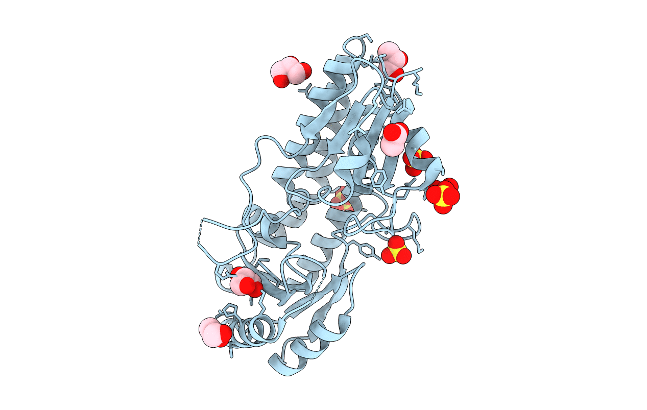 4UDN image