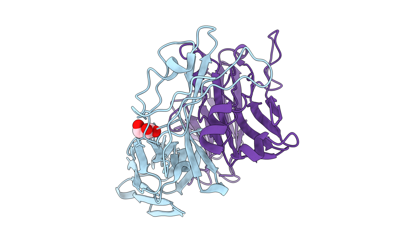 4UDT image