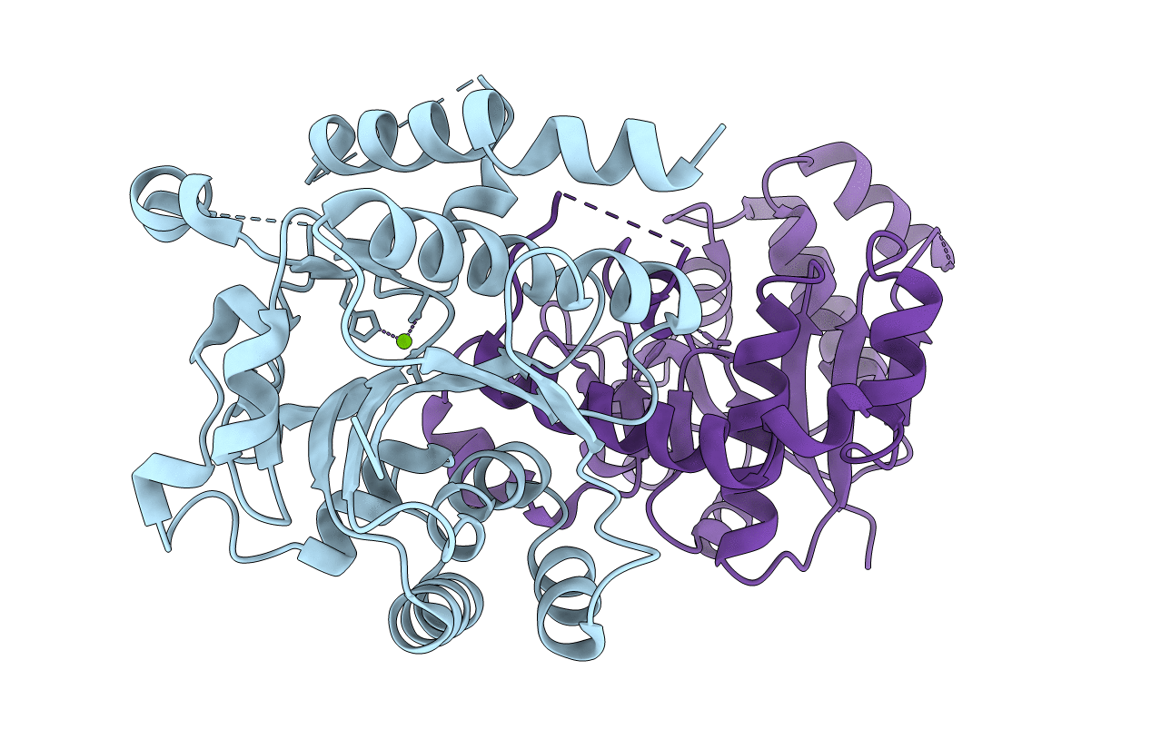 4UEG image