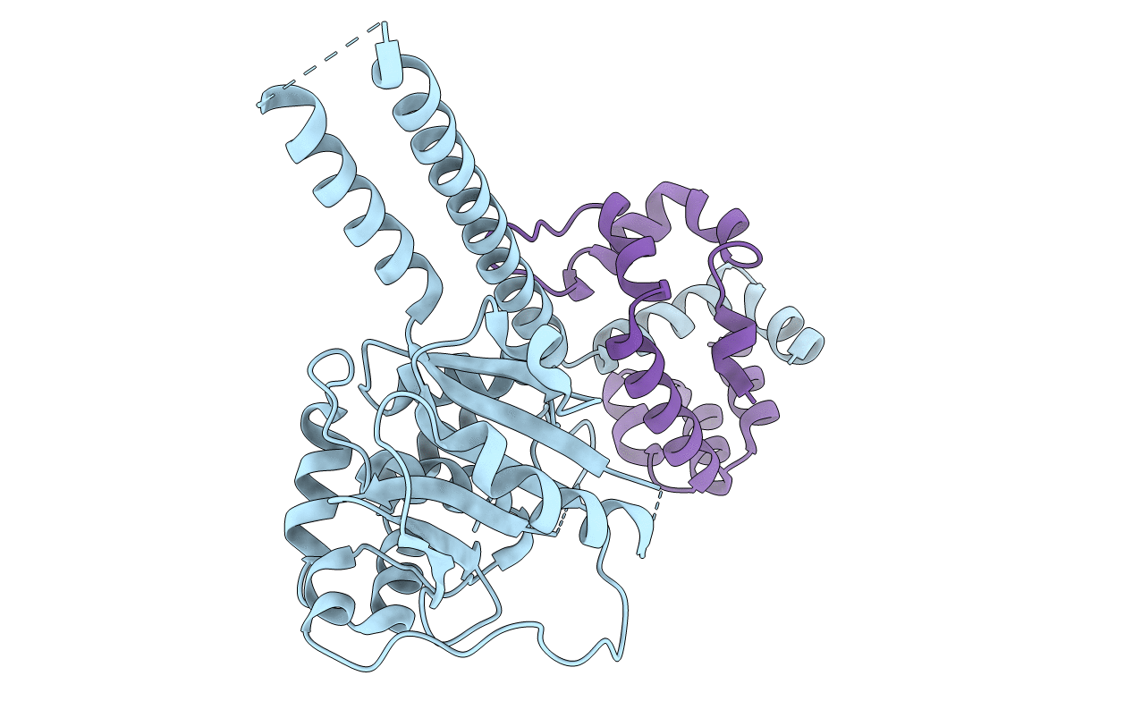 4UEM image