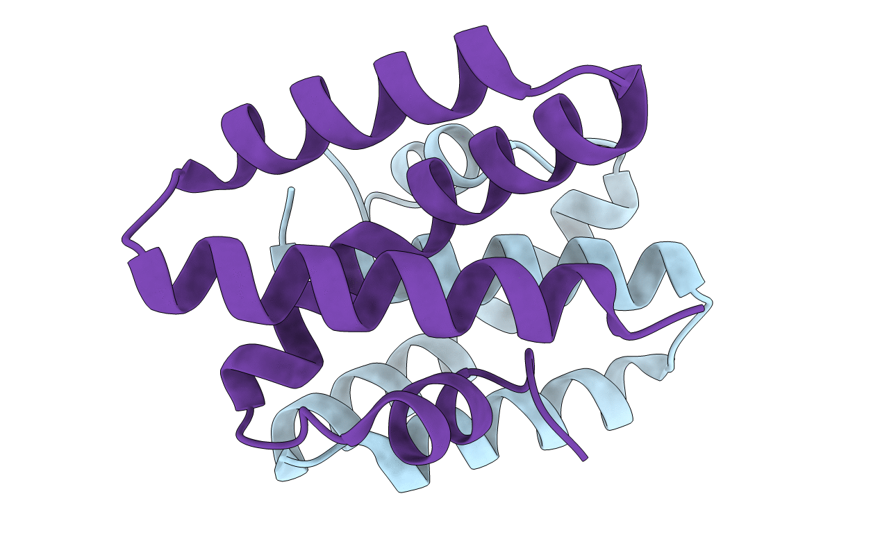 4UEX image