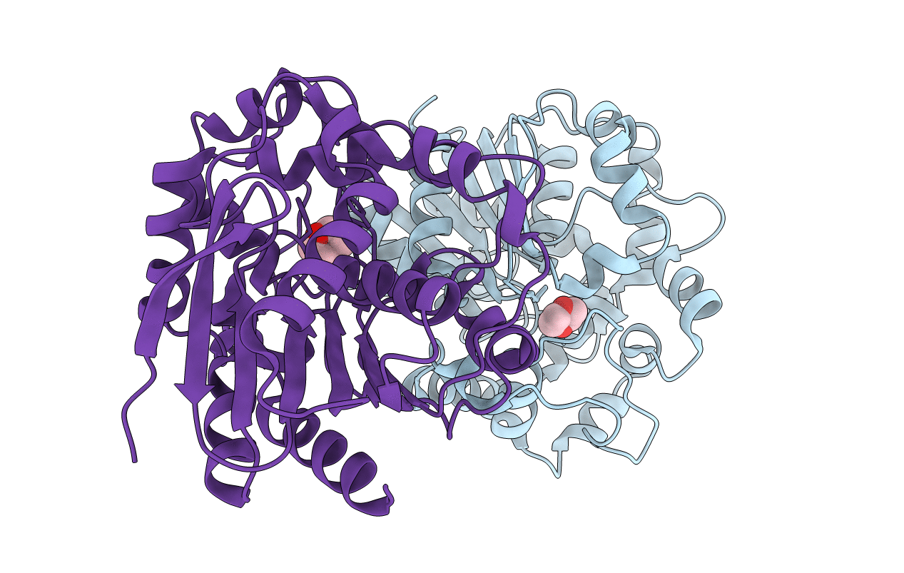 4UFN image
