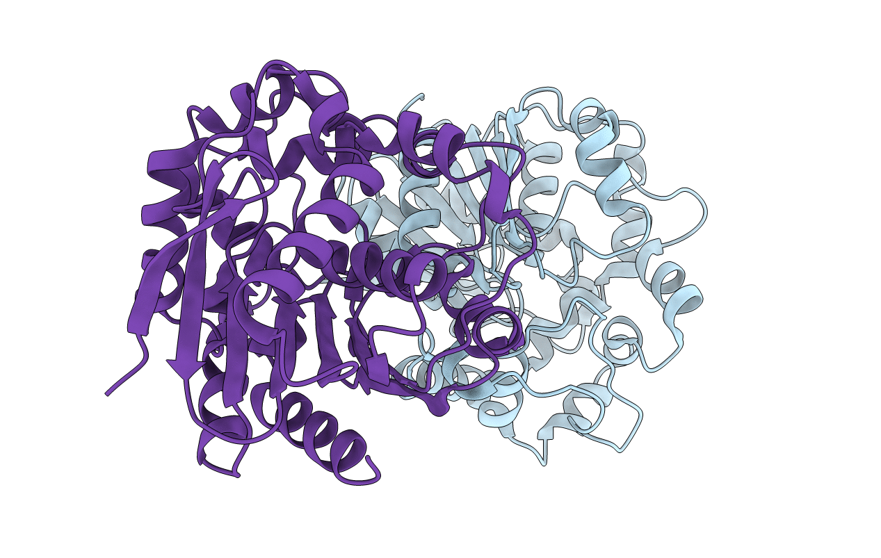 4UFP image