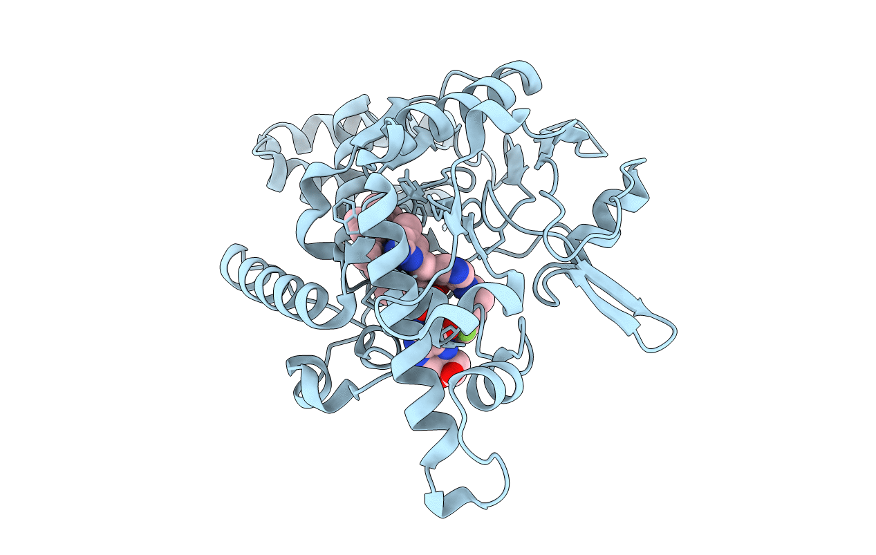 4UGB image