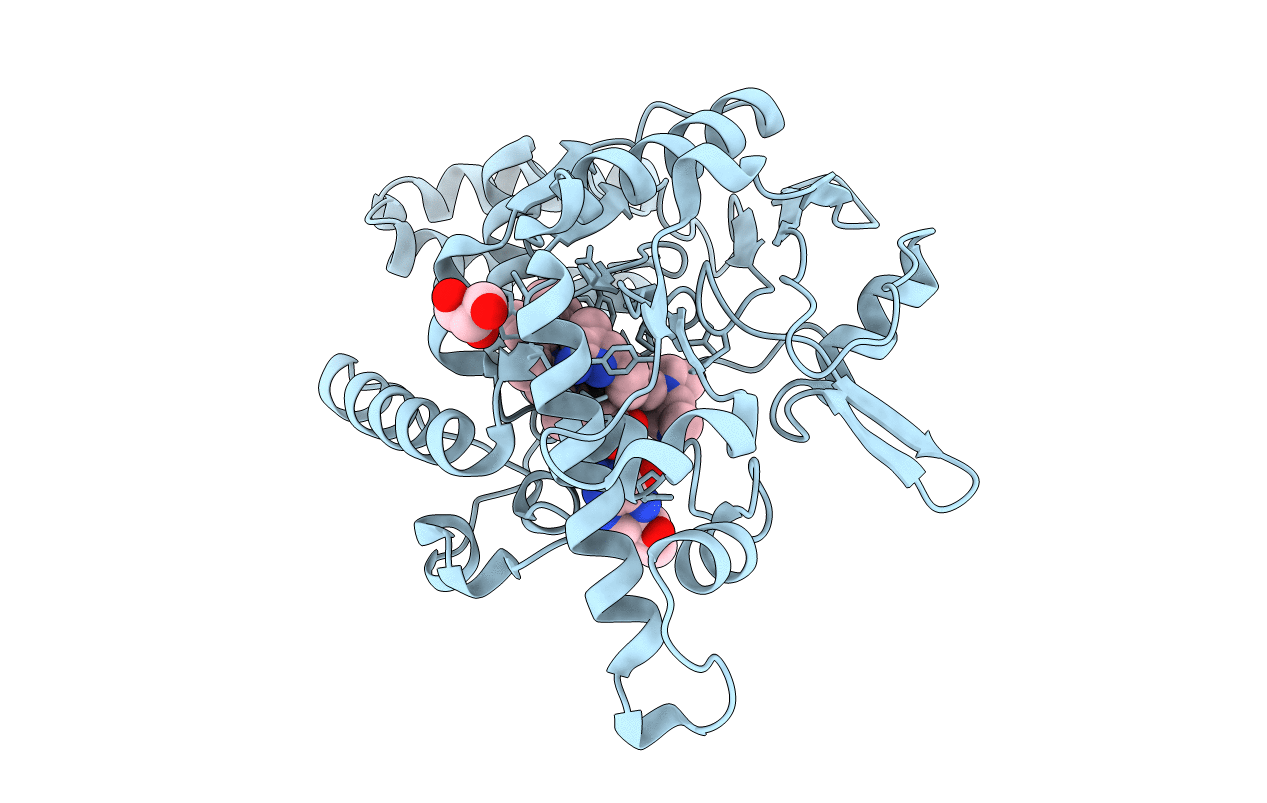 4UGL image