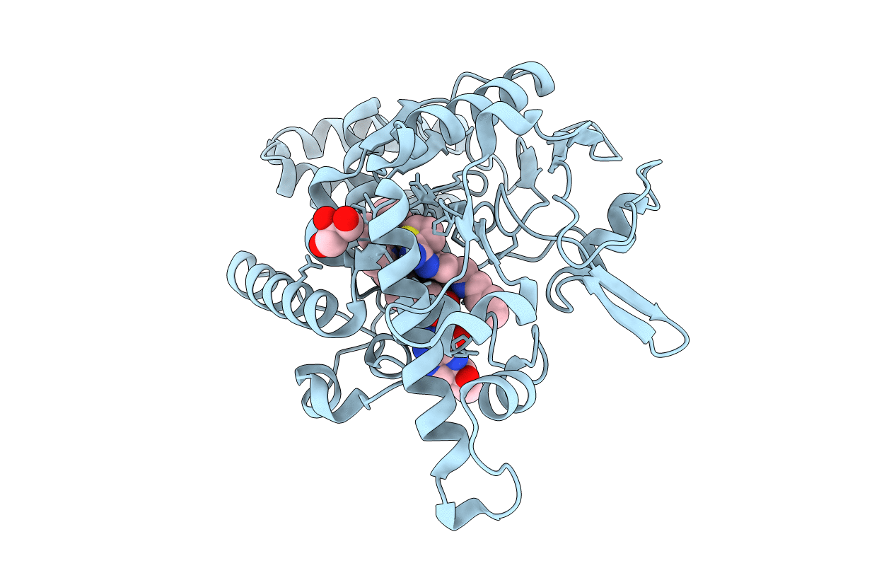 4UGN image