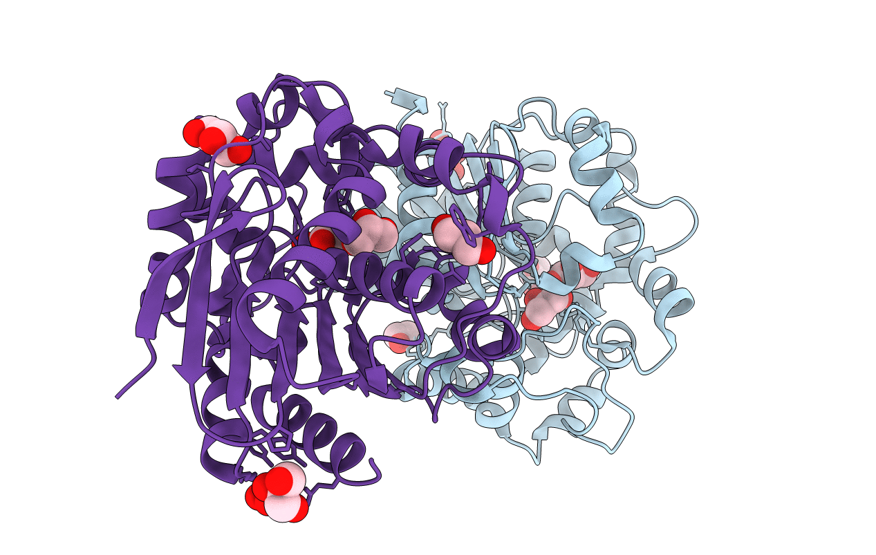 4UHB image