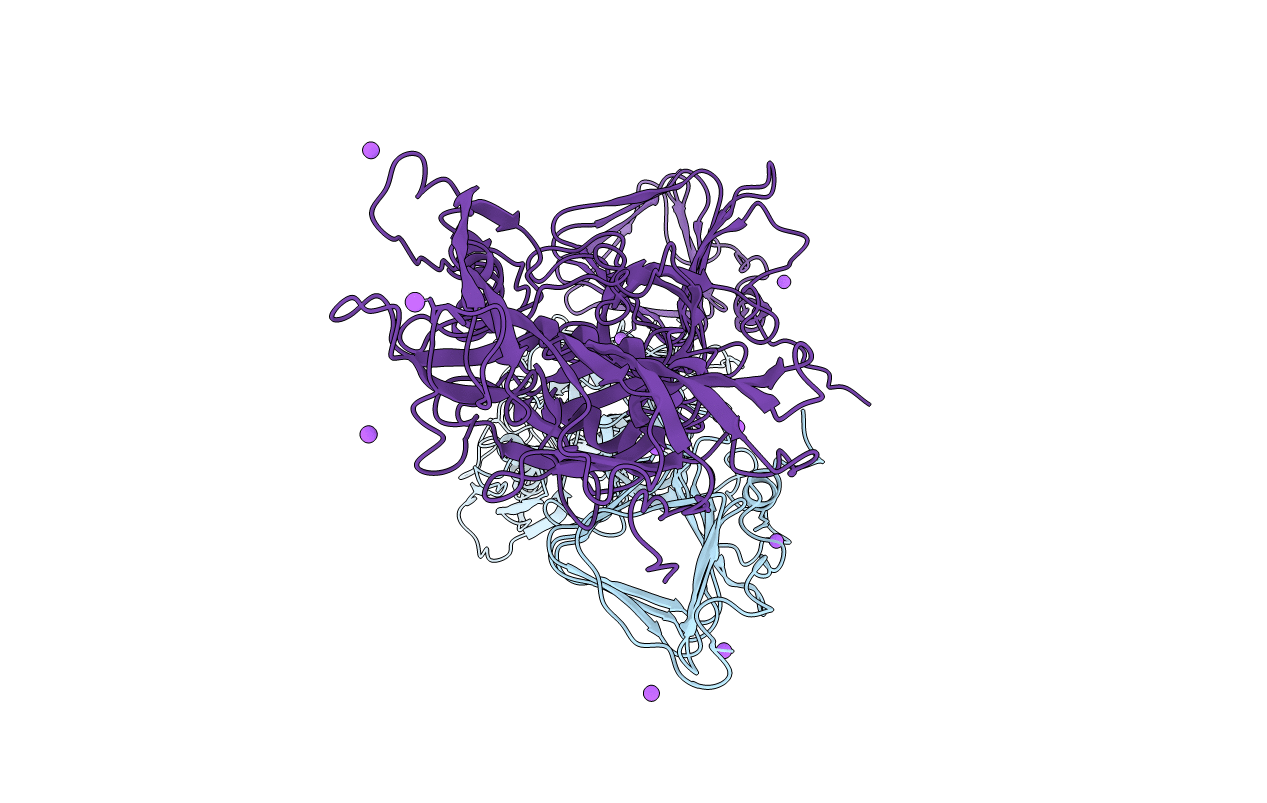4UHV image