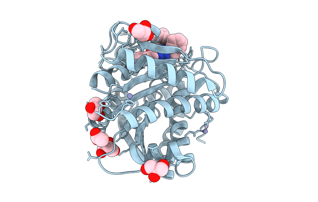 4UIB image