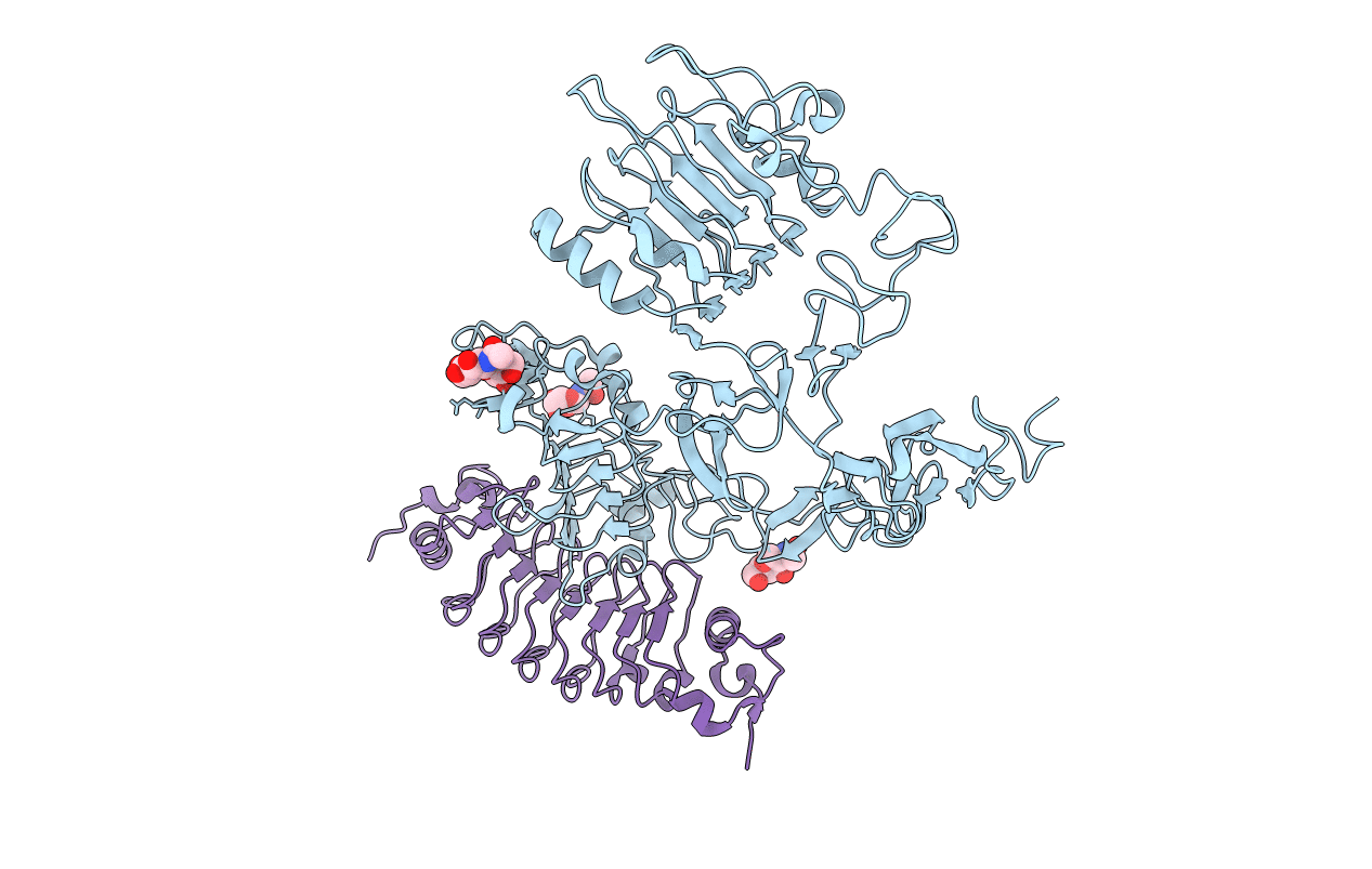 4UIP image