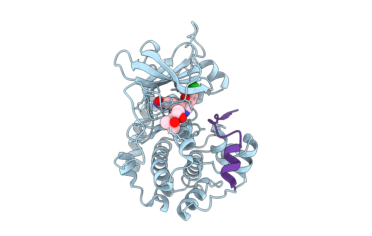 4UJ1 image