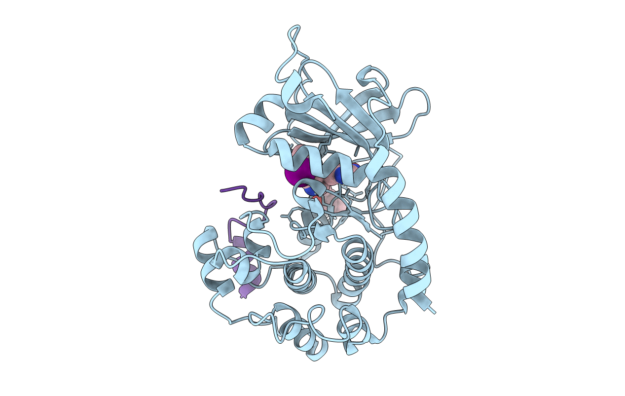 4UJ2 image