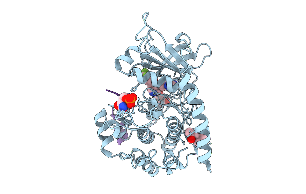 4UJ9 image