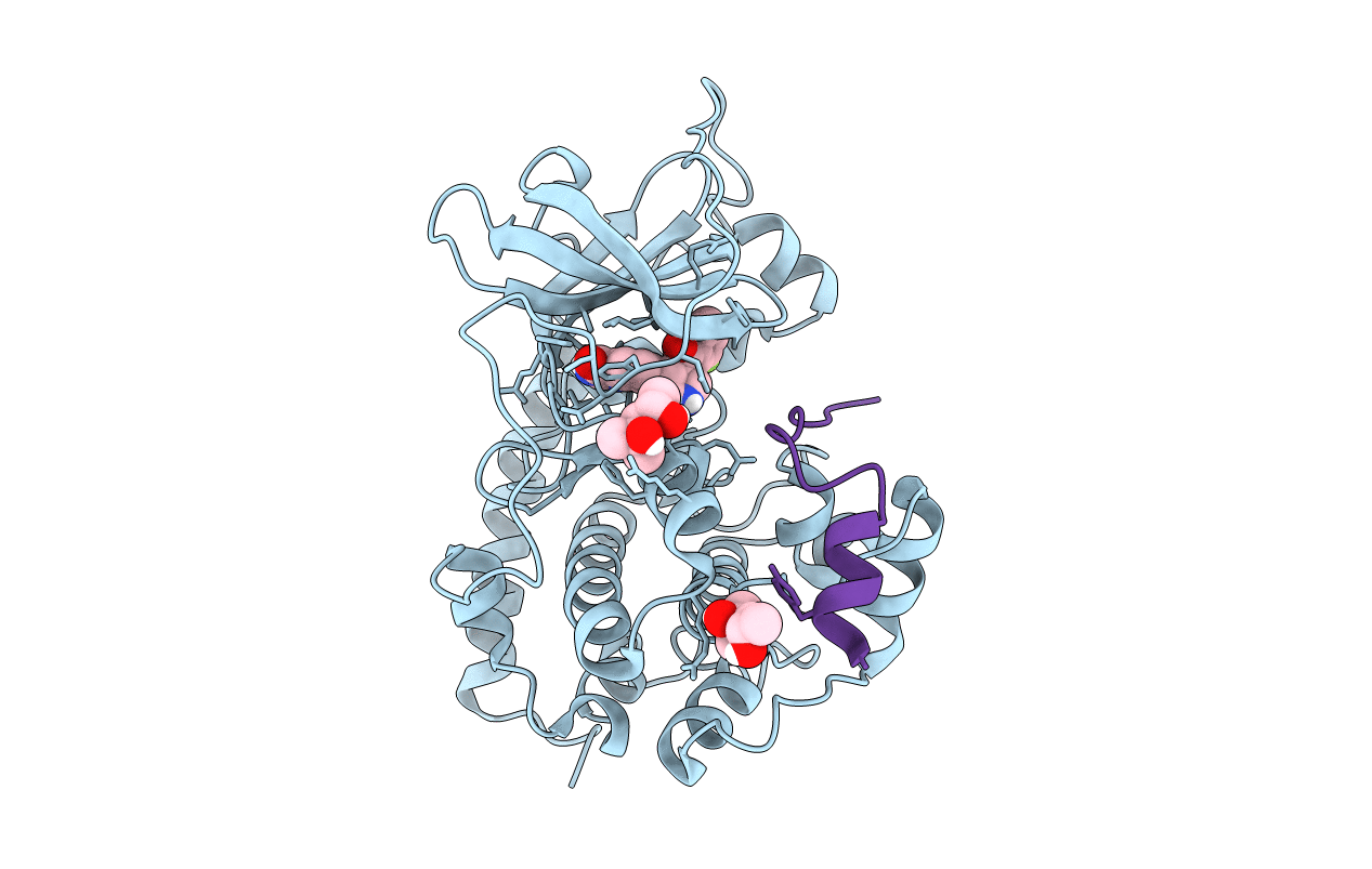 4UJB image