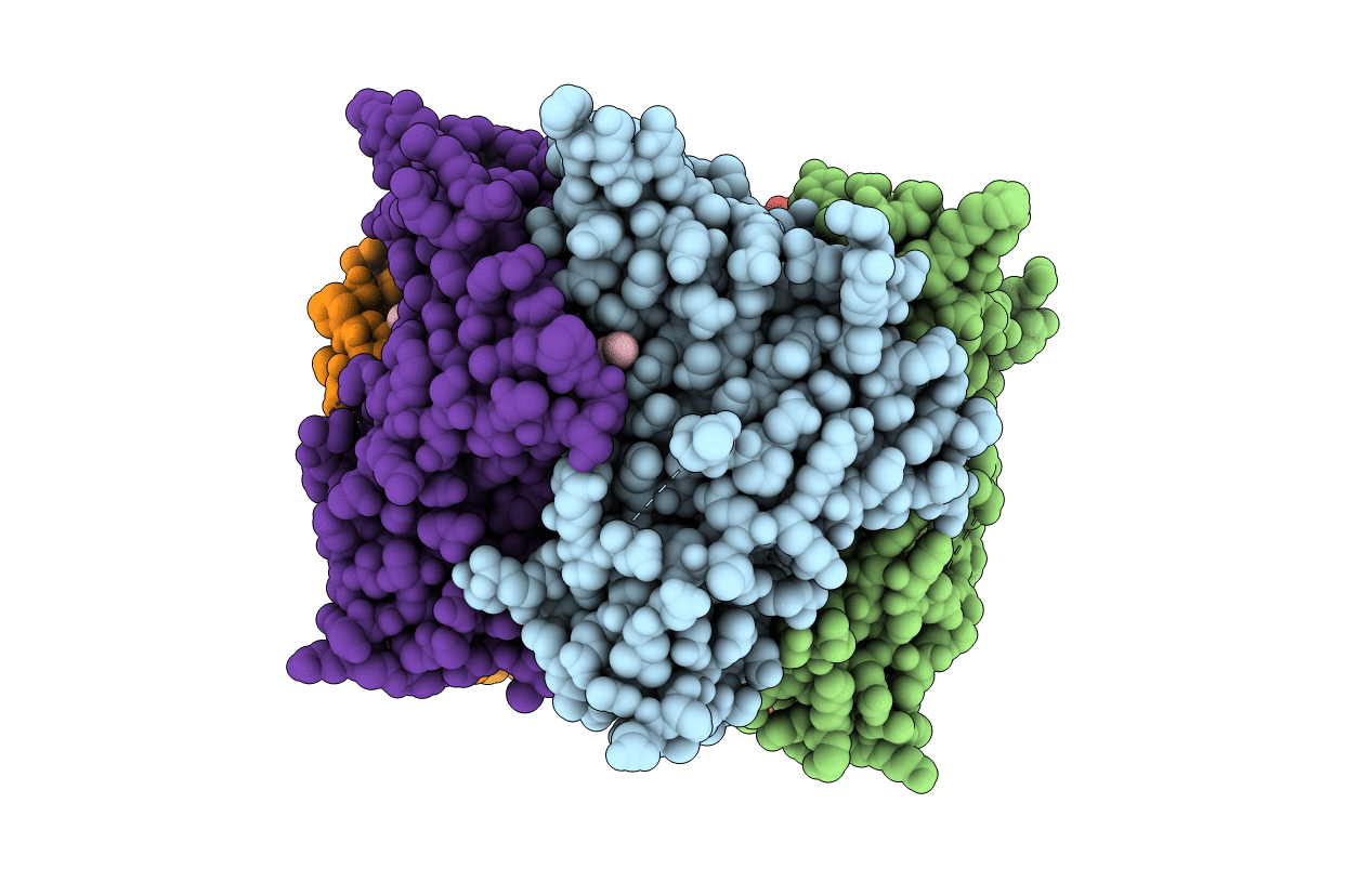 4UM1 image