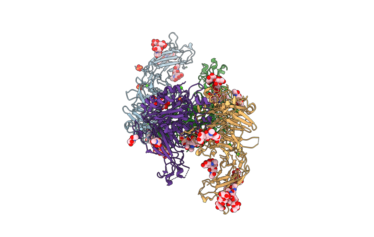4UM8 image