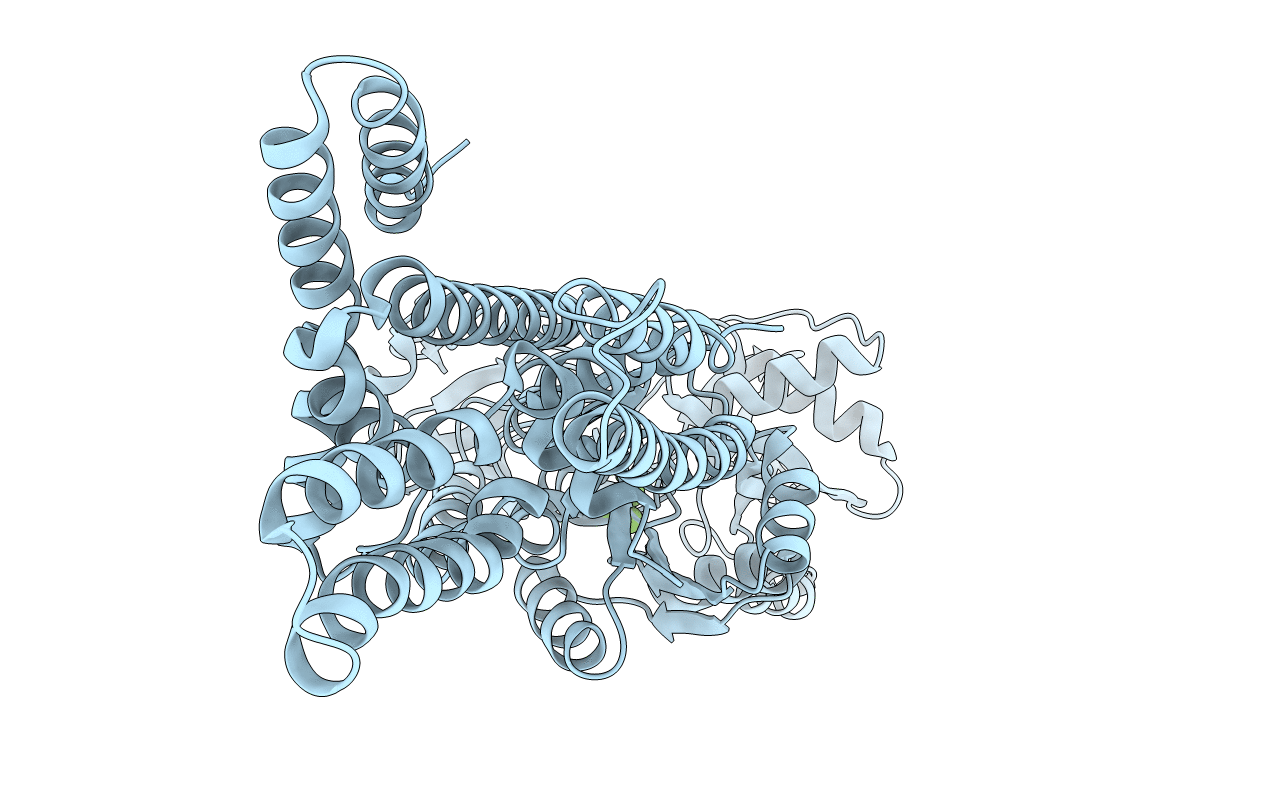 4UMV image
