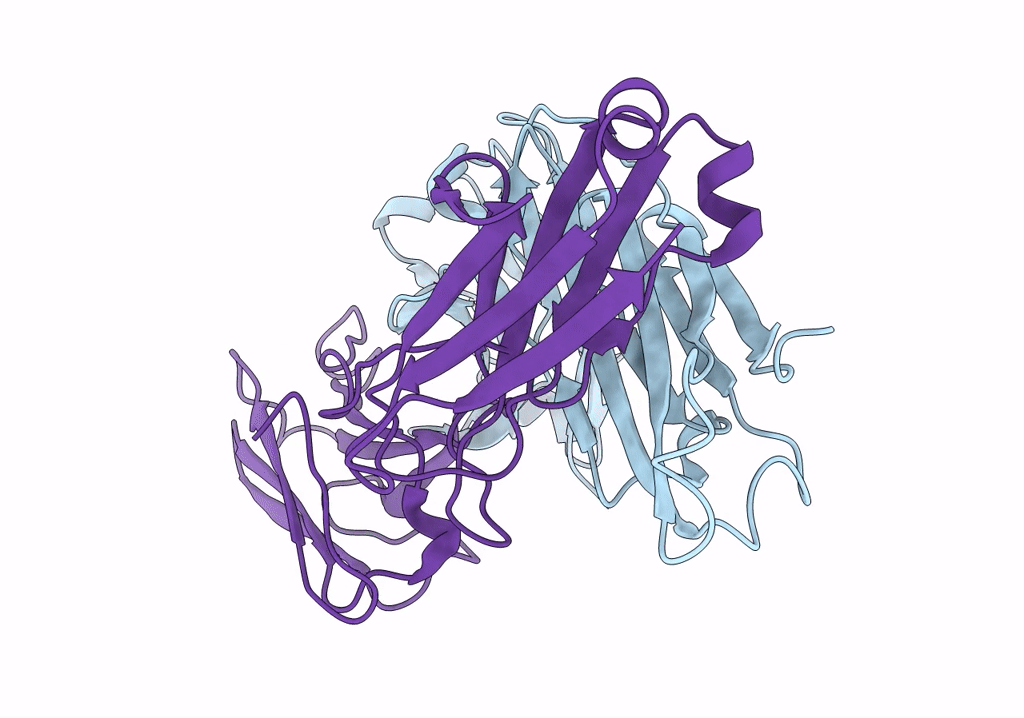 4UOM image