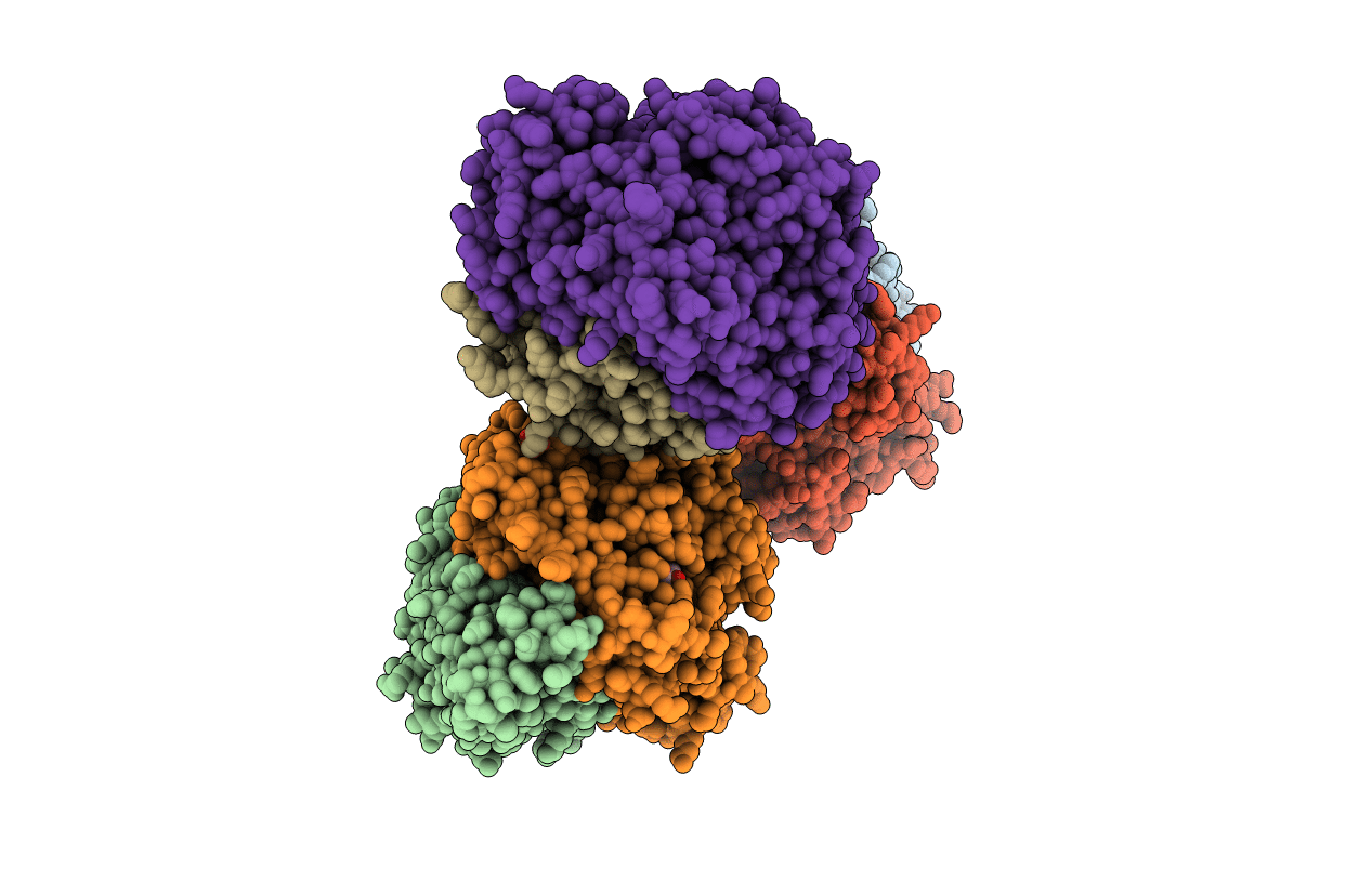 4UPE image