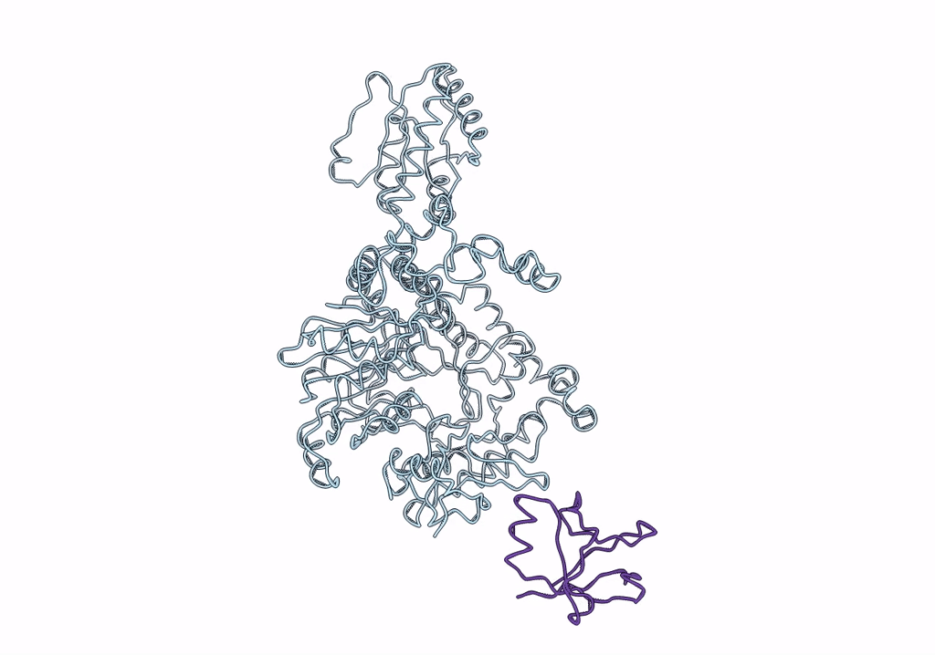 4UPF image