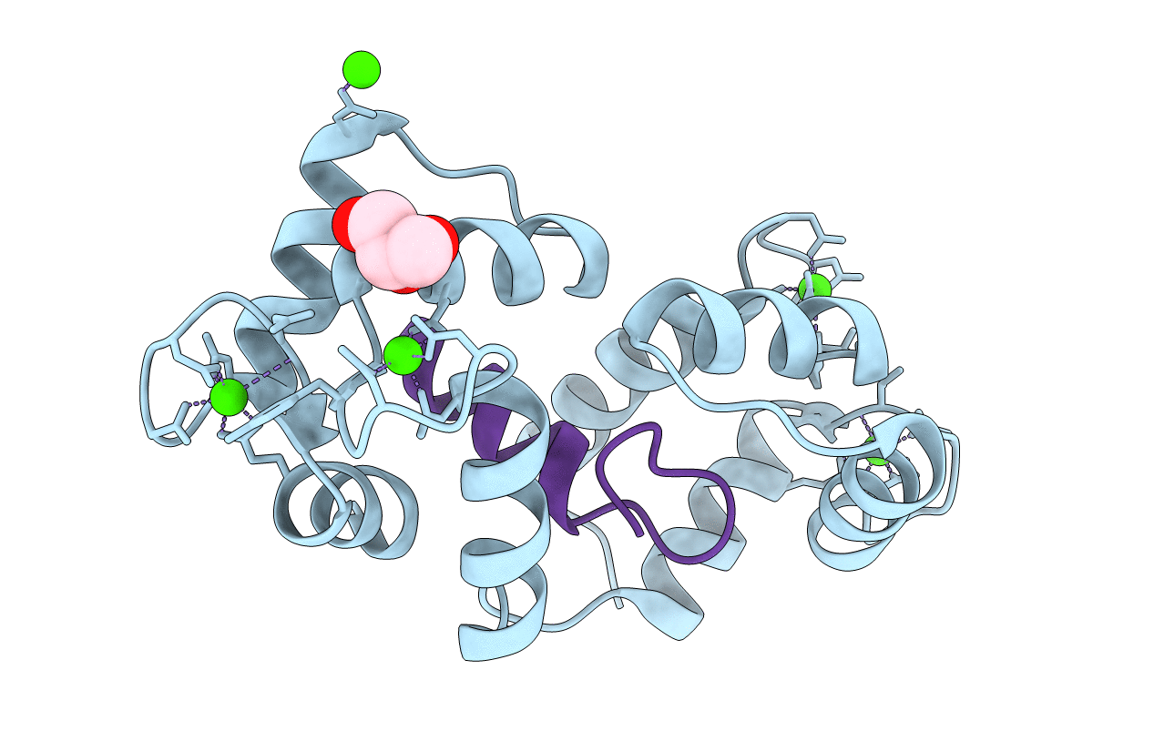 4UPU image