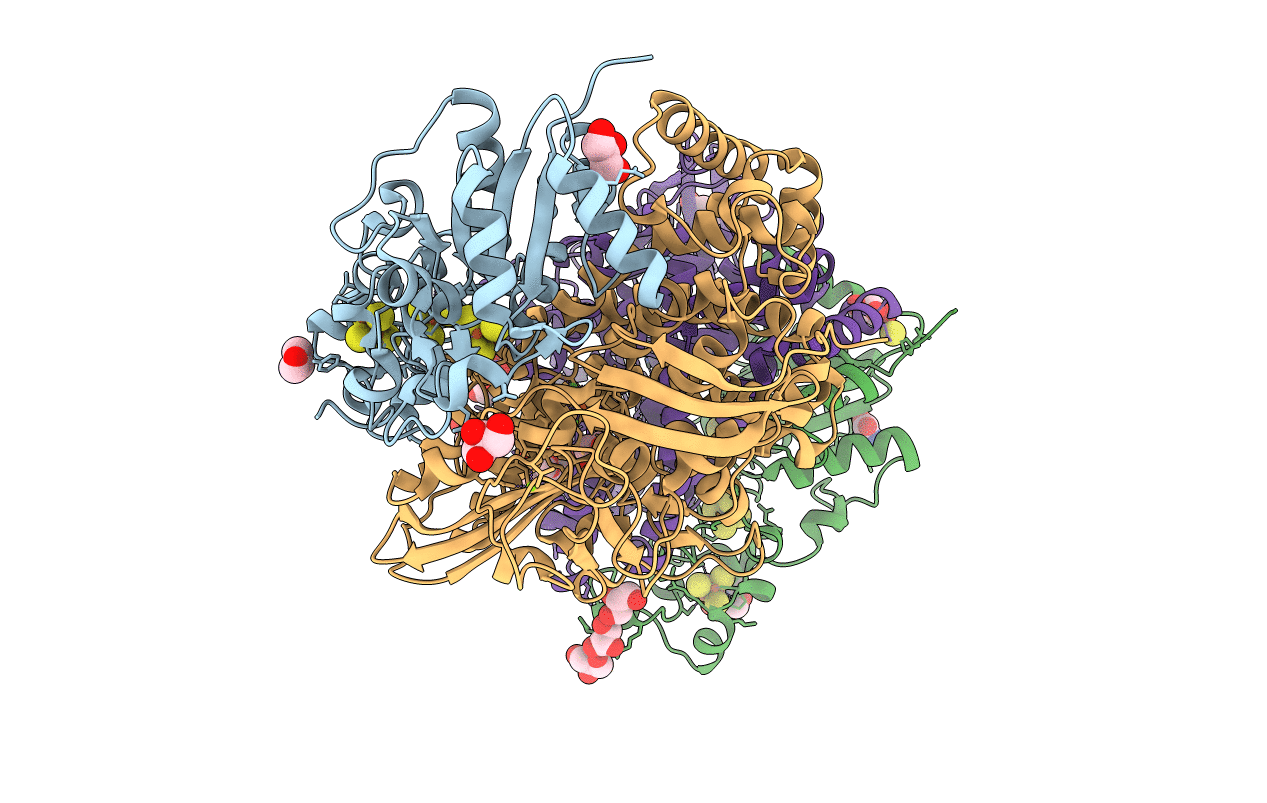 4UPV image