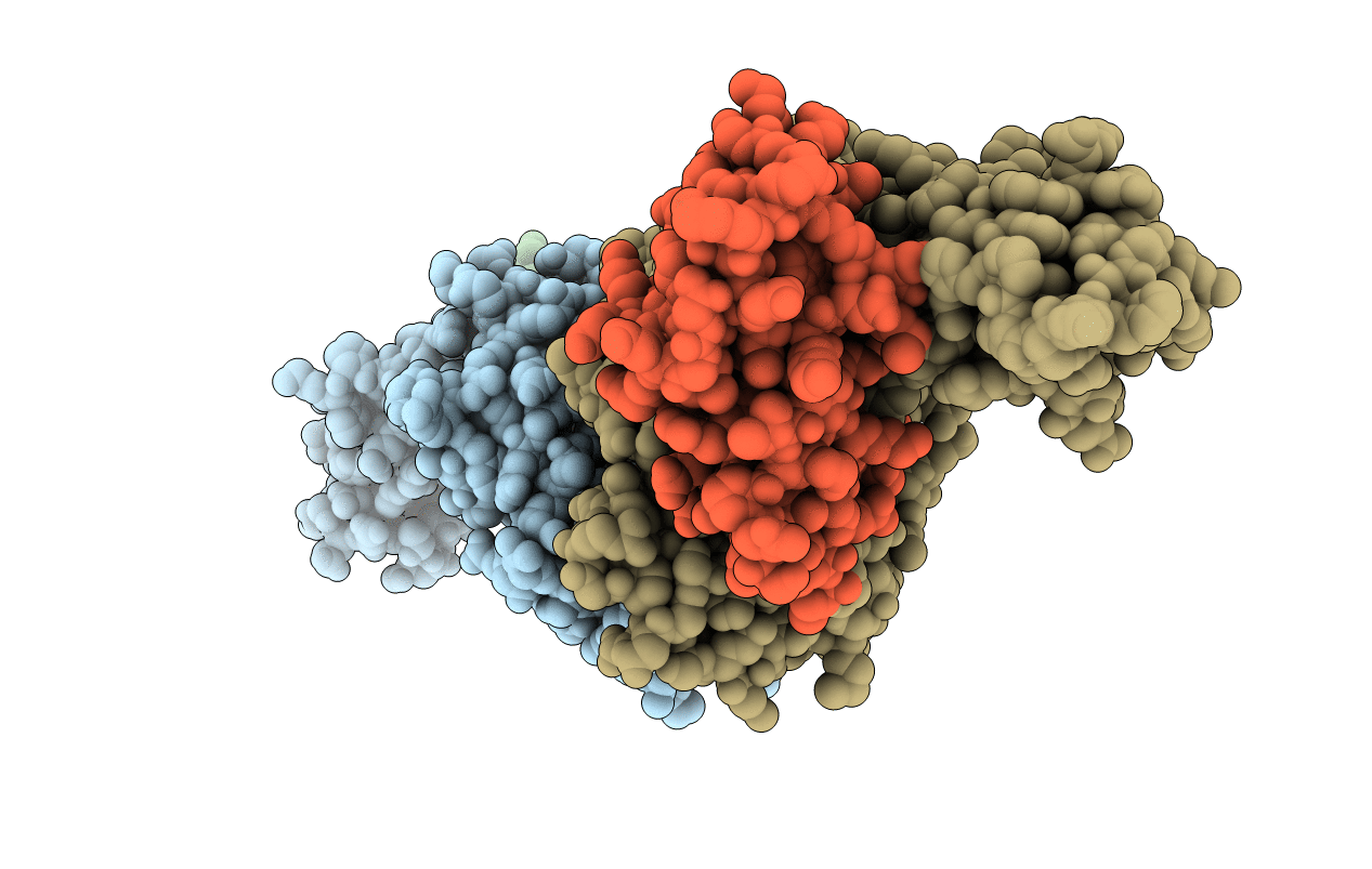 4UQ2 image