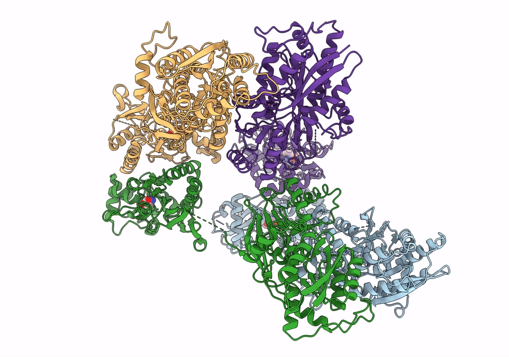 4UQ6 image