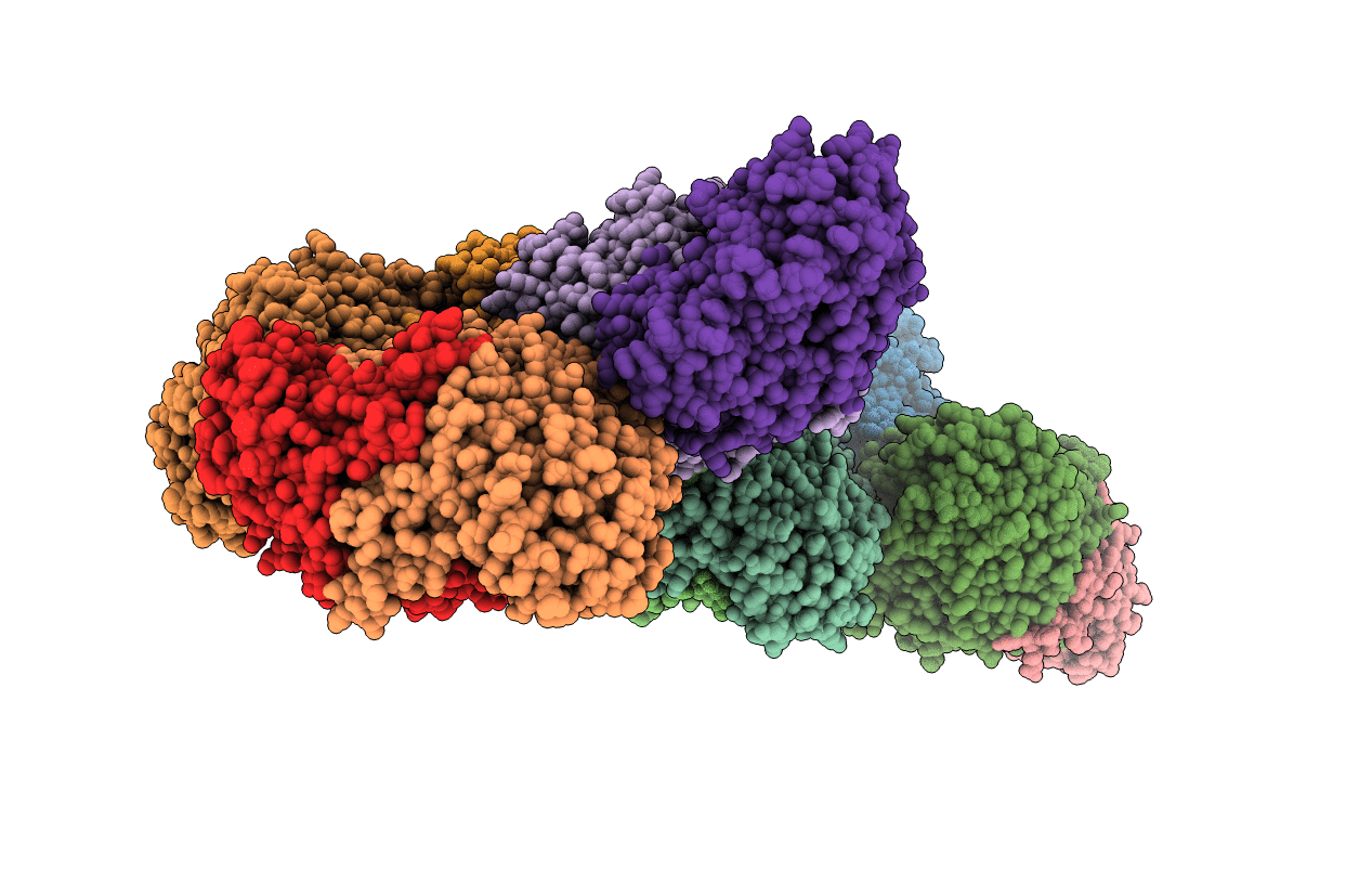 4UQV image