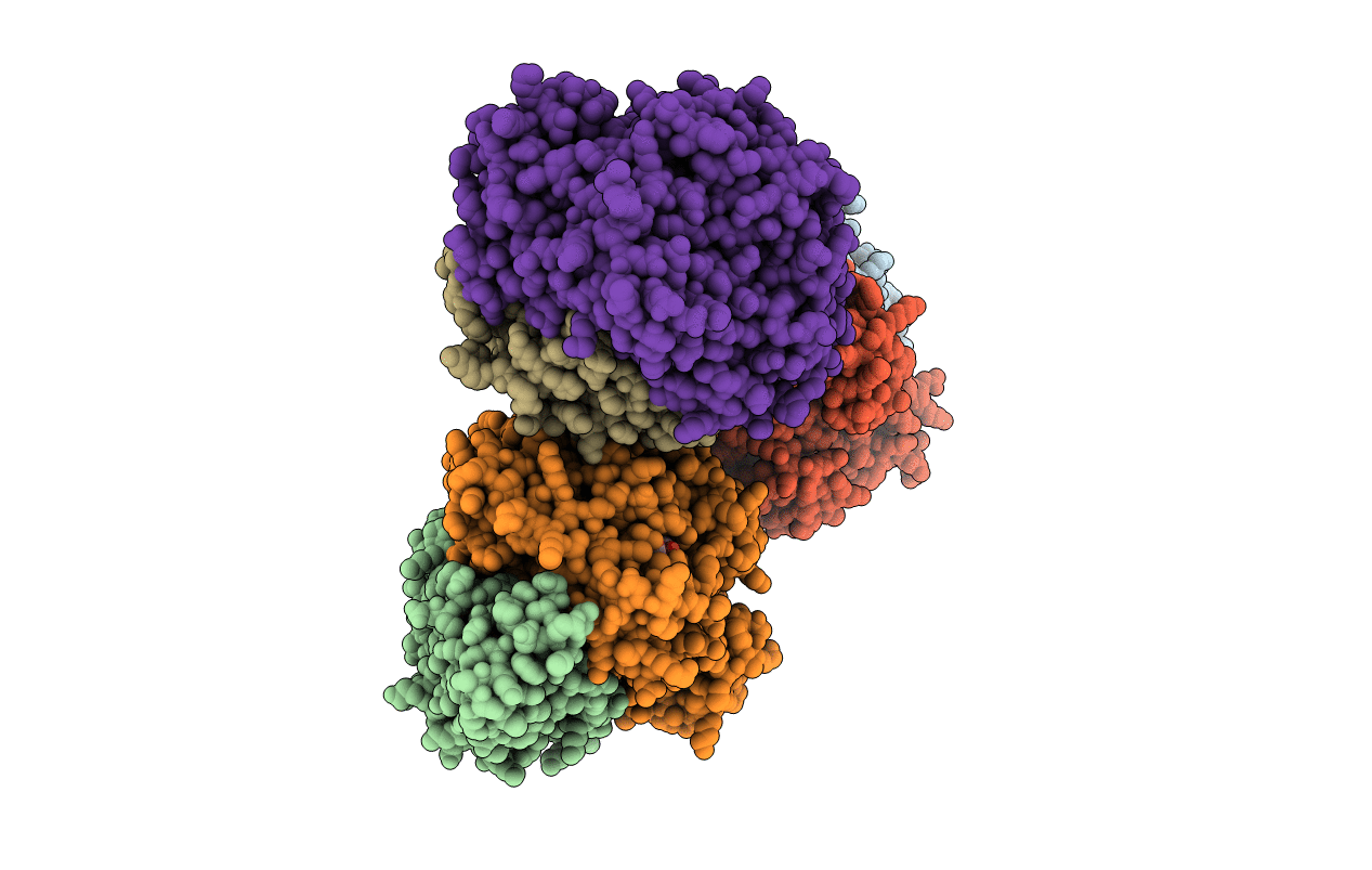 4URH image