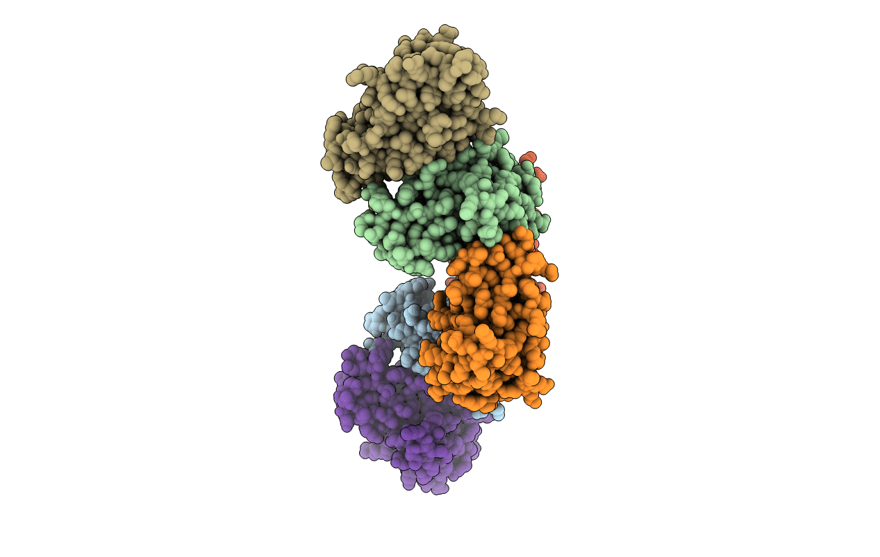 4URQ image