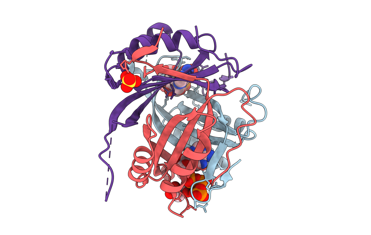 4USI image