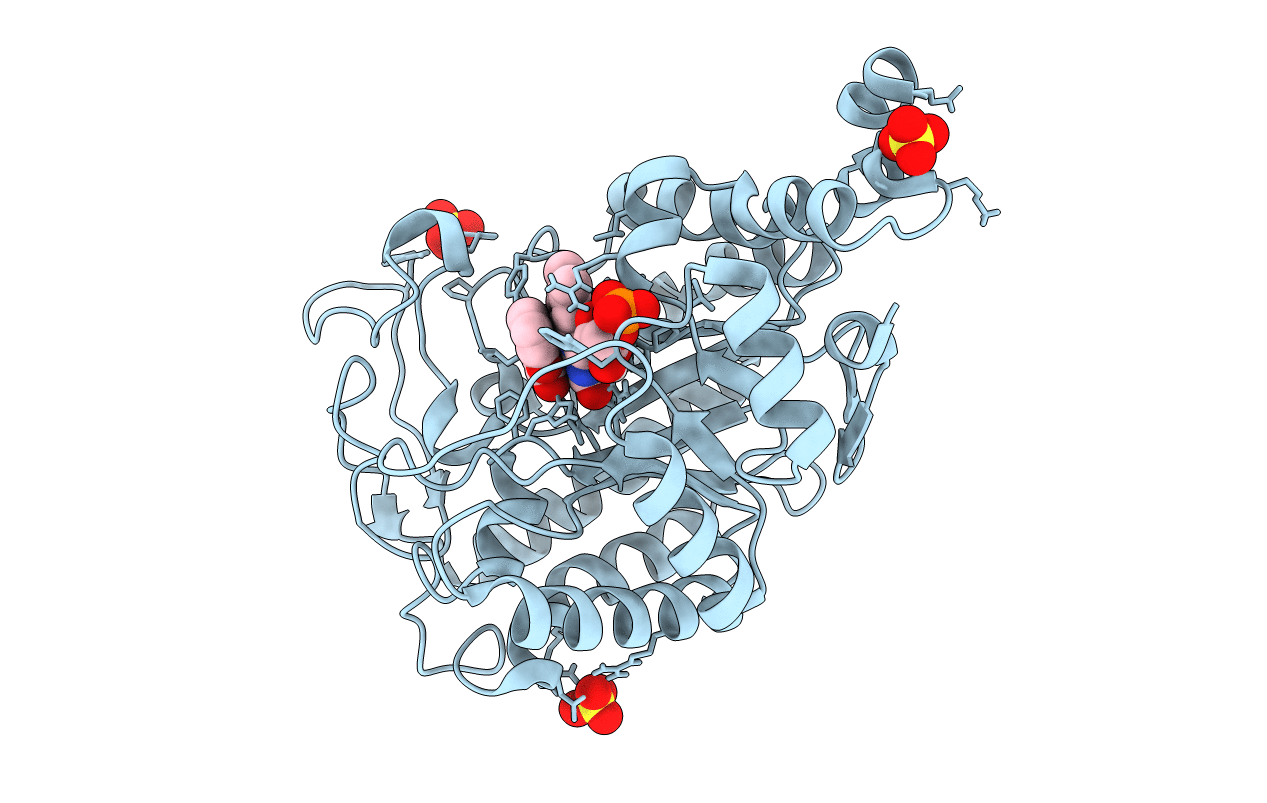 4UTI image